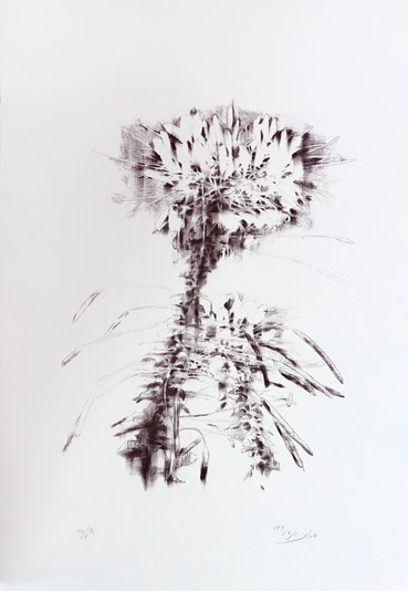 مینا غازیانی