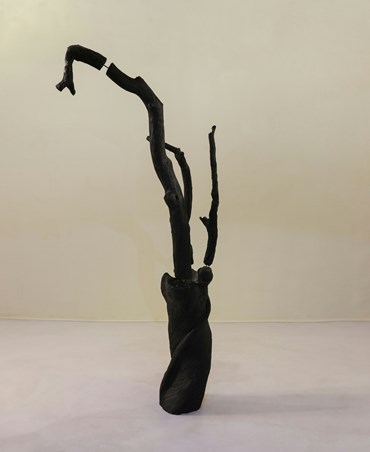 , Babak Kabood, Untitled, 2024, 76617