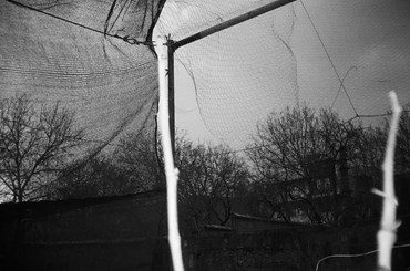 Photography, Kimia Askarian, Untitled, 2021, 68250