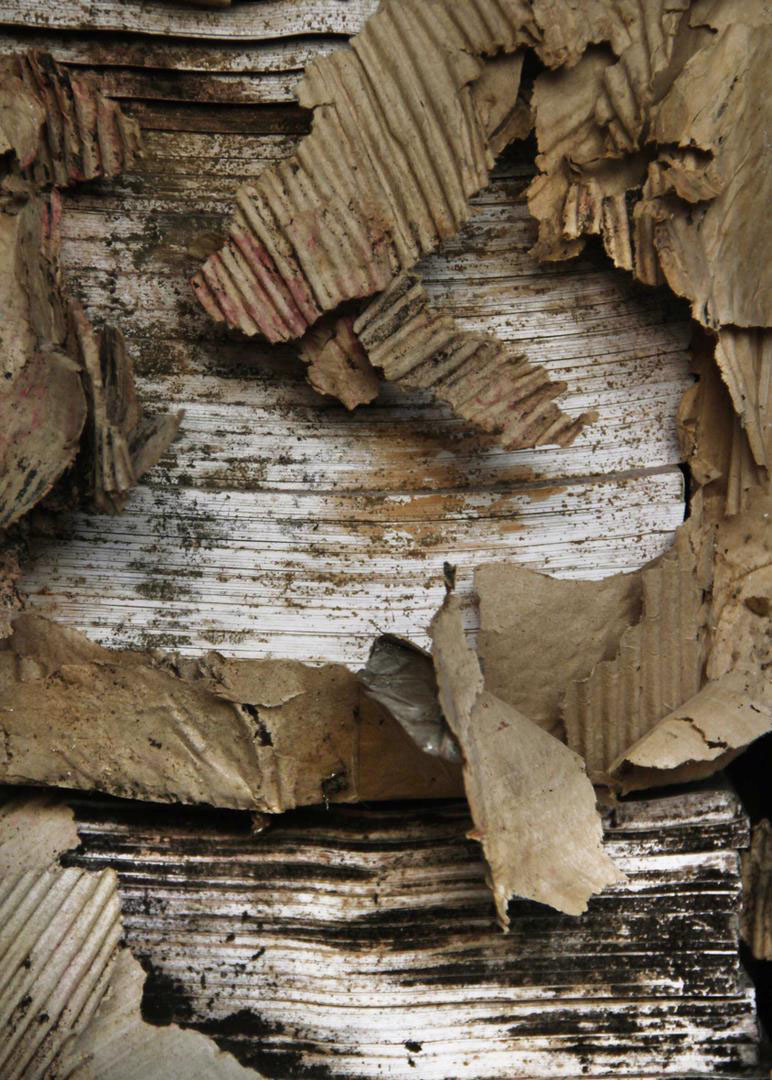 Naghmeh Ghasemloo, Untitled, 0