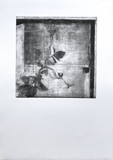 Printmaking, Mehdi Babaei, Untitled, 2023, 82734