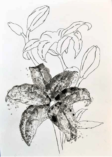 Shirin Karami Mofrad, Untitled, 2024, 0