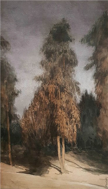 Zahra QaraKhani, Eucalyptus Trees	, 2019, 0