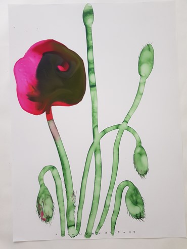Painting, Ahoo Hamedi, Oriental Poppy, 2022, 64707