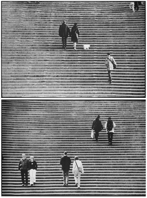 Abbas Kiarostami, Untitled, 2000