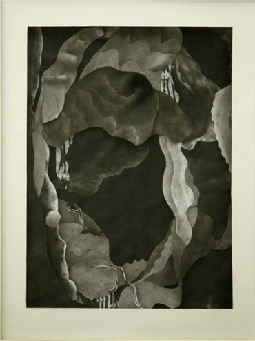 Works on paper, Samira Karbalaei, Untitled, 2015, 3448