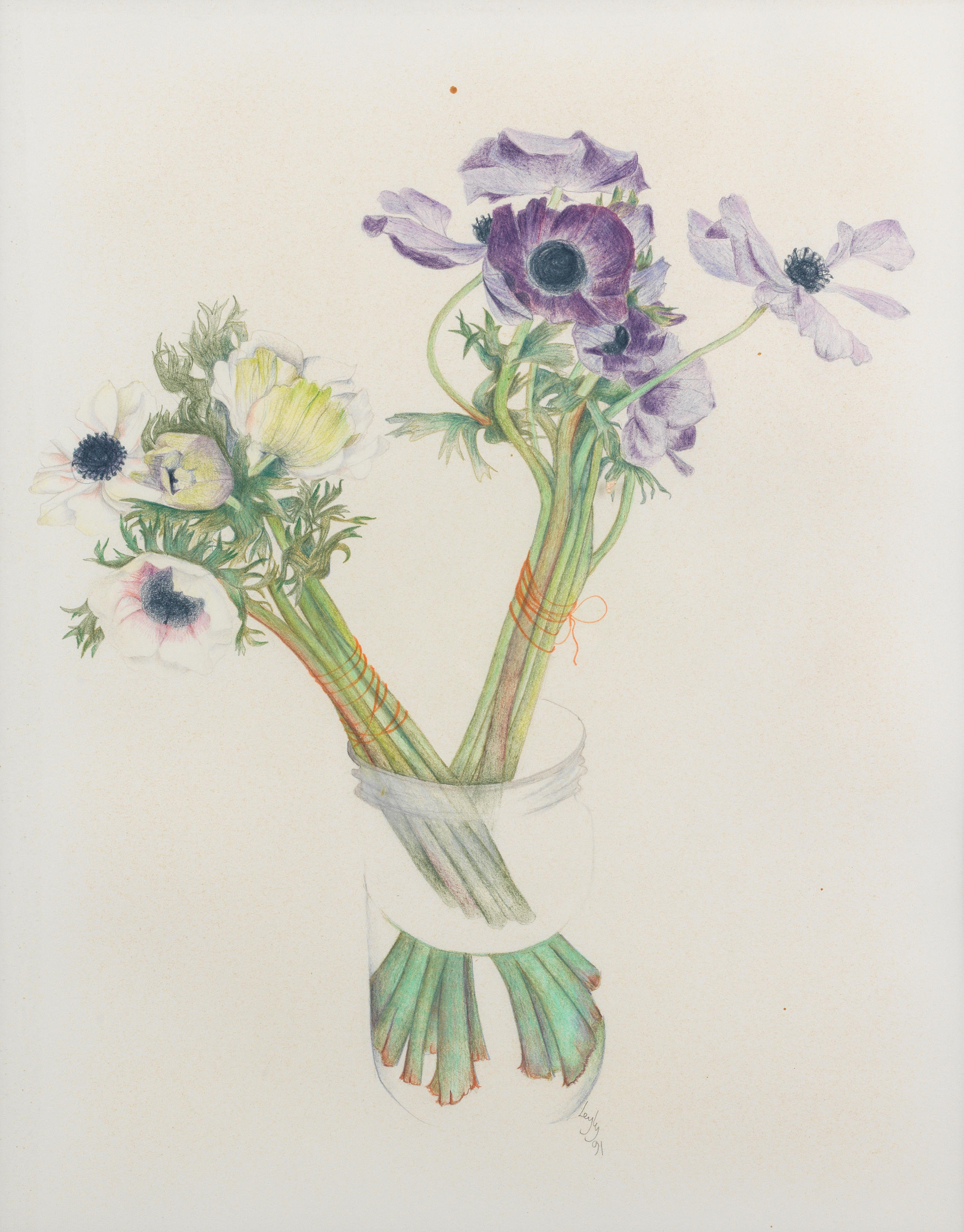 Leyly Matine Daftary, Floral Studies, 1991