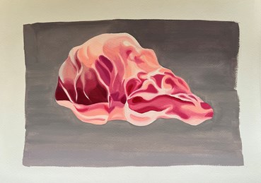 , Nima Zaare Nahandi, study, 2023, 82039