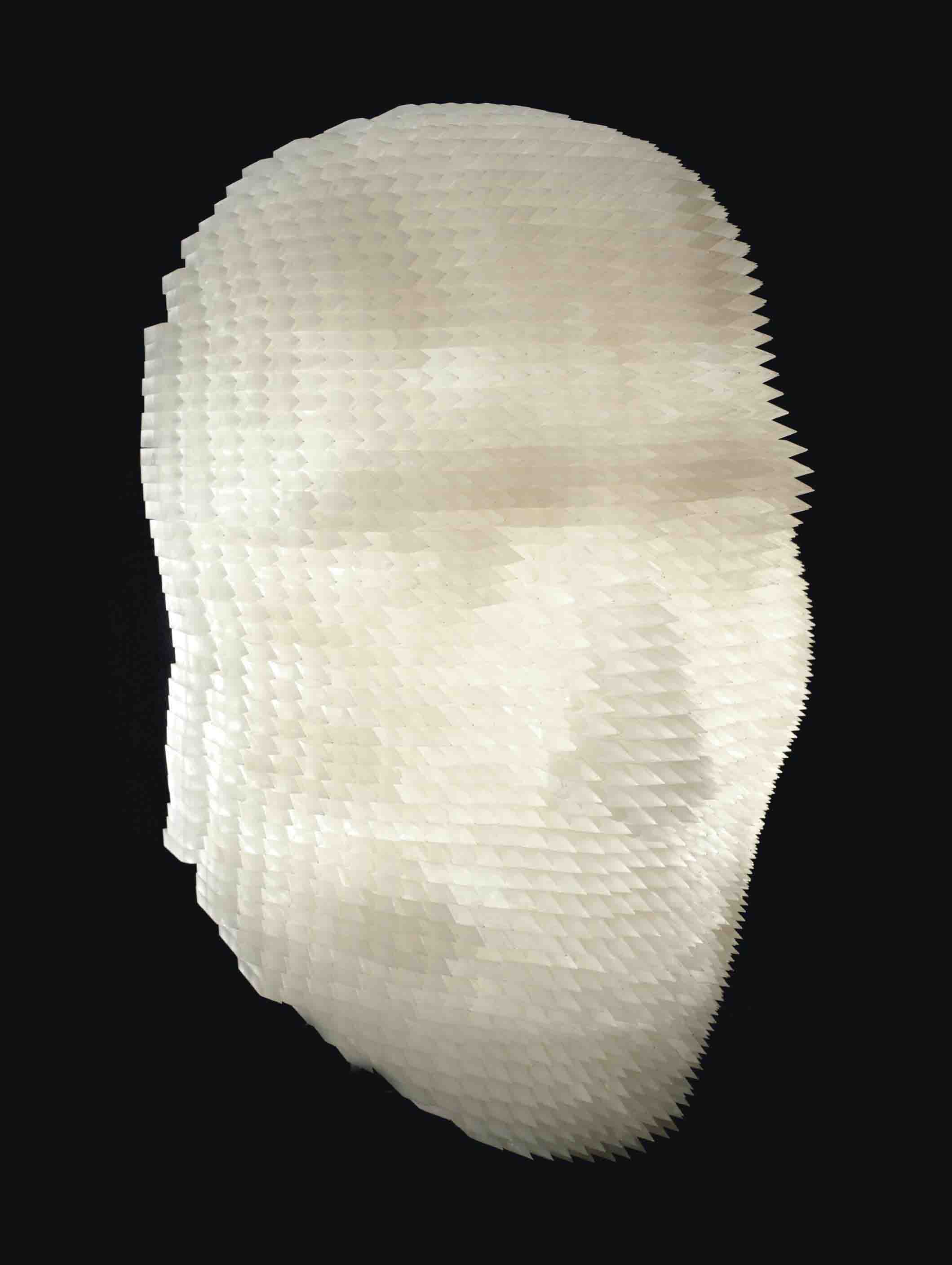 Raffie Davtian, No Comment, 2010