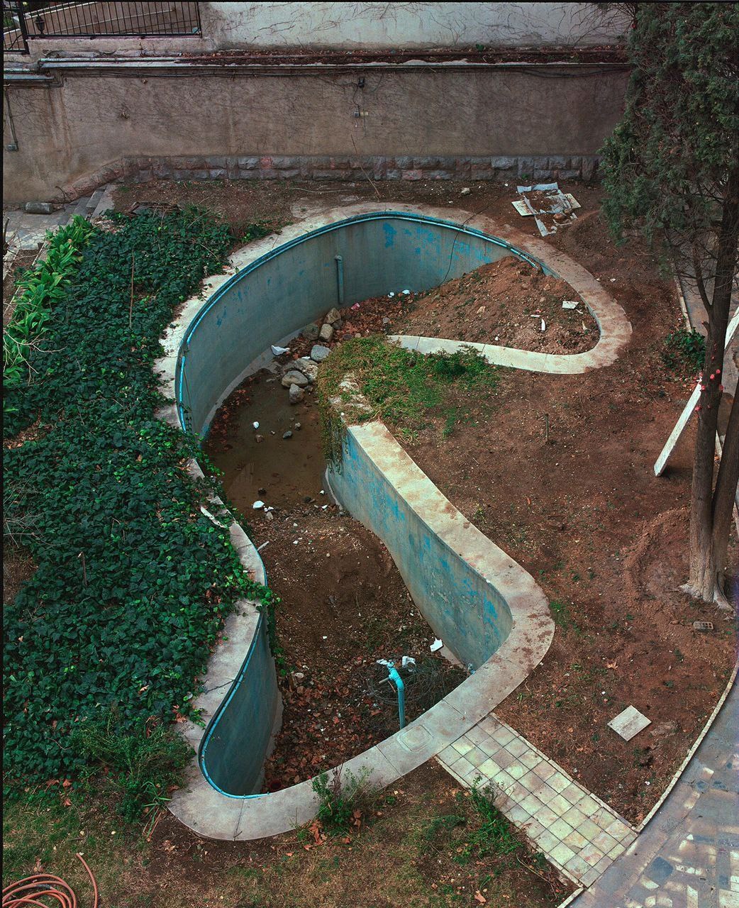 علیرضا فانی