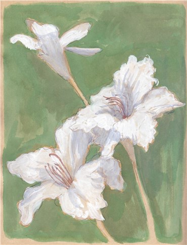 Hosein Shirahmadi, Flowers no.8, 2020, 0