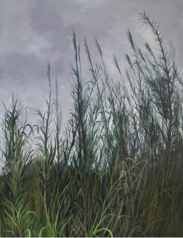 , Sara Khaleghi, Untitled, 2025, 83366