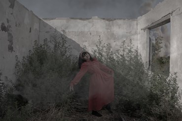 Sara Sasani, Untitled, 0, 0