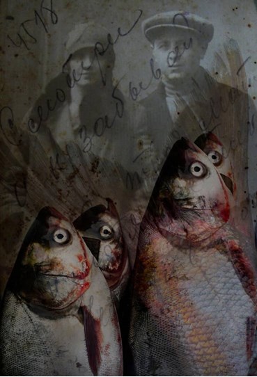 Photography, Nazli Abbasi, Untitled, , 73148