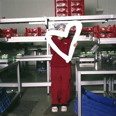 , Anna Fabricius, A Message From My Brother, 2024, 74189