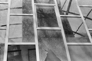 Photography, Kimia Askarian, Untitled, 2021, 76102