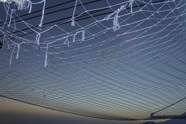 Rasa Hezarkhani, Untitled, 2018, 0