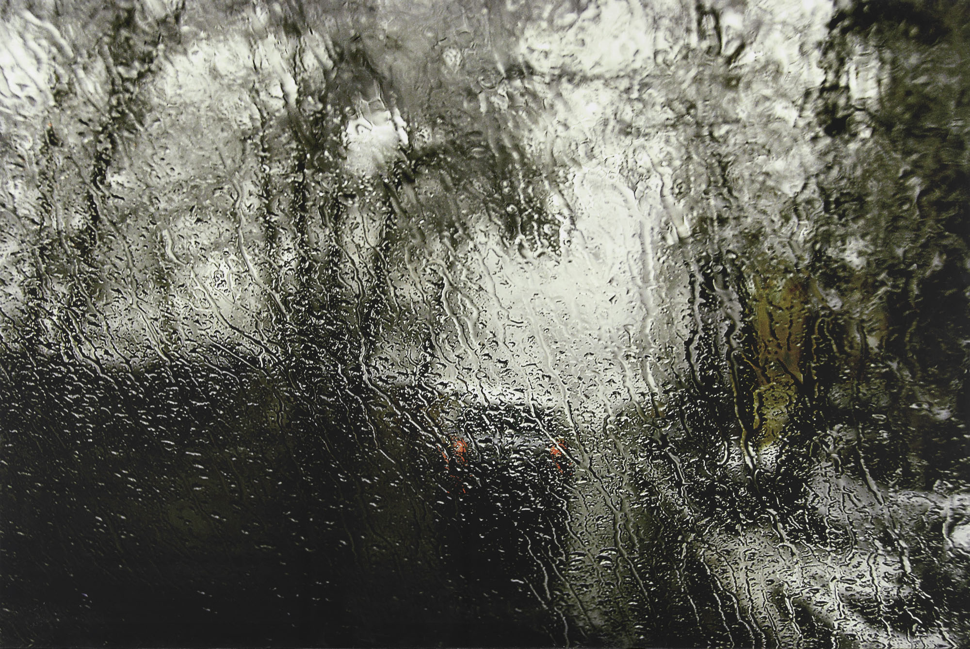 Abbas Kiarostami, Untitled, 2008