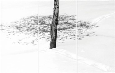 Photography, Abbas Kiarostami, Snow, , 5050