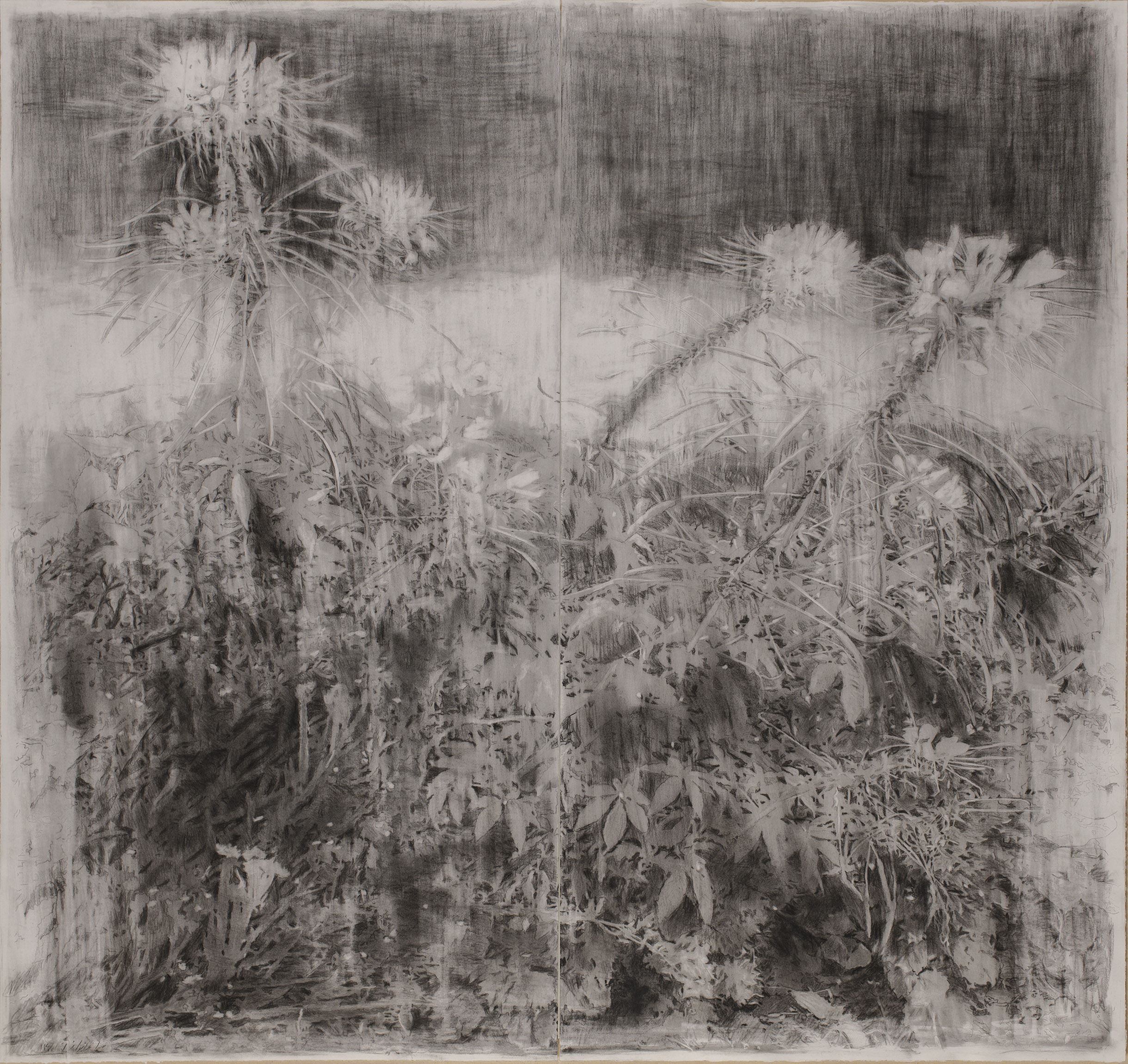 Mina Ghaziani, The Washed Light, 2021