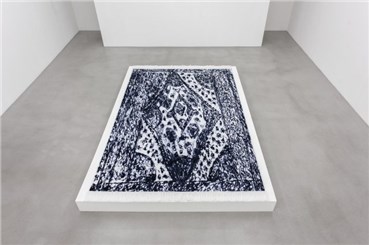 Installation, Sirous Namazi, Carpet, 2014, 23254
