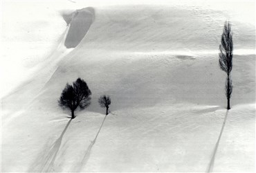 Print and Multiples, Abbas Kiarostami, Untitled, 1999, 20776
