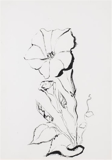Works on paper, Monir Shahroudy Farmanfarmaian, Floral Sketch, 1989, 17643