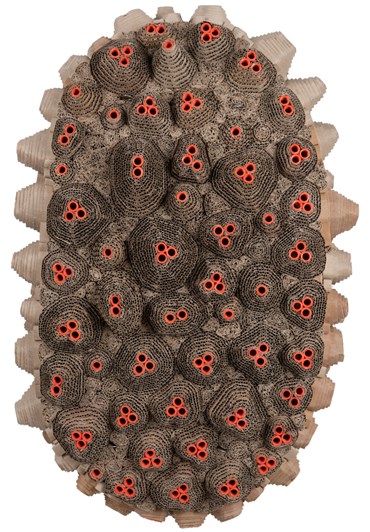 Mansour Nosrat Nezami, Exodus No.12, 2022, 0