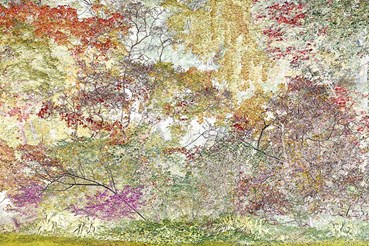 , Arman Molavi, Bagatelle, 2024, 78212