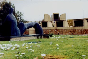 Installation, Amir Mobed, Mushrooms , 2002, 35683