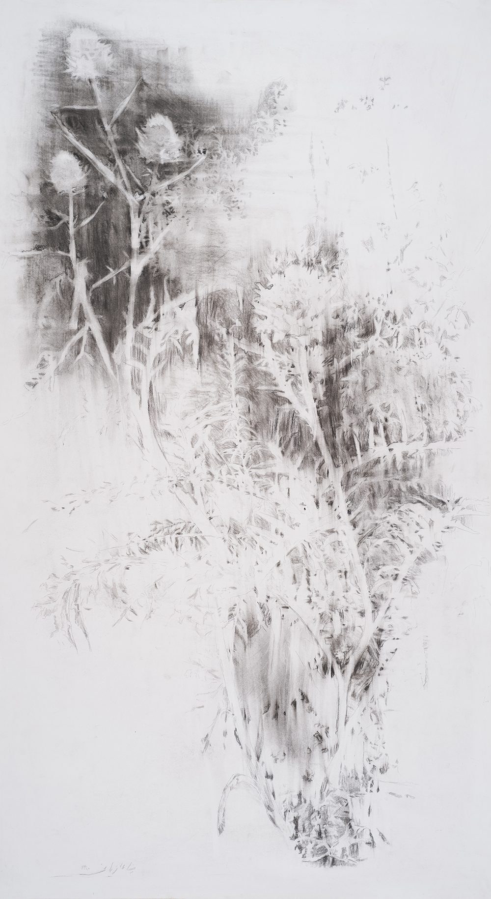 Mina Ghaziani, Untitled, 2021