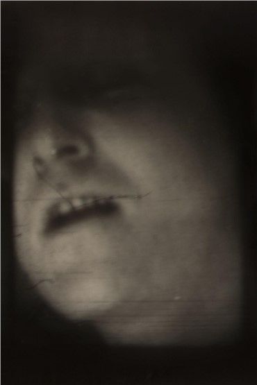 Photography, Ali Zanjani, Untitled, 2017, 17607