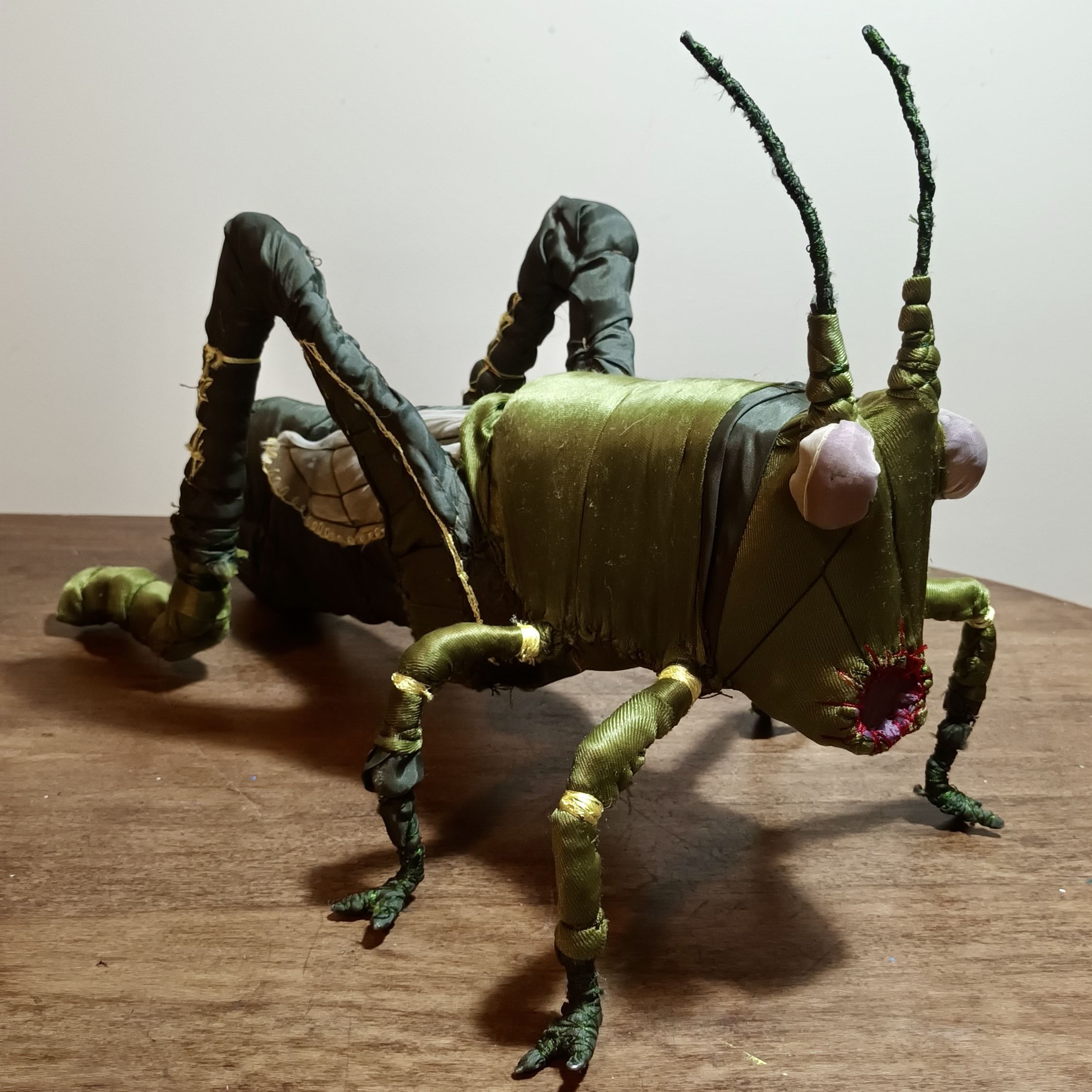 Mirmohamad Fatahi, Grasshopper, 2024