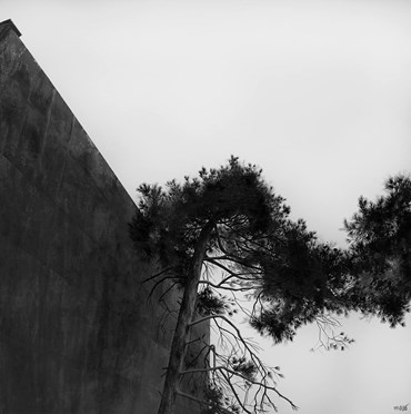 Gelareh Goudarzi, Untitled, 0, 0