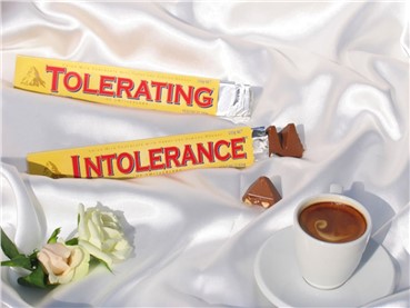 , Shirin Aliabadi, Tolerating Intolerance, 2006, 18509