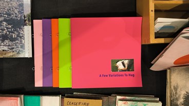 , Saba Hasanzadeh, A Few Variations to Hug, , 83499