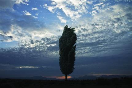 Mehdi MoghimNejad, My History, 2010