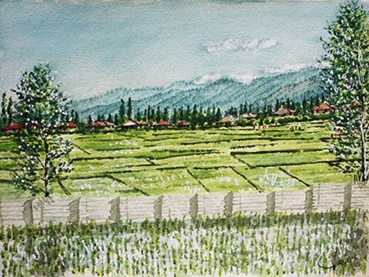 Saeid SaadatNia, Untitled, 0