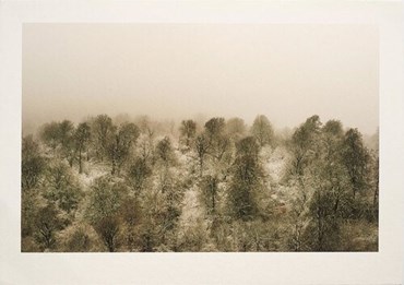 , Shahin Esfandiari, Untitled, 2024, 82266