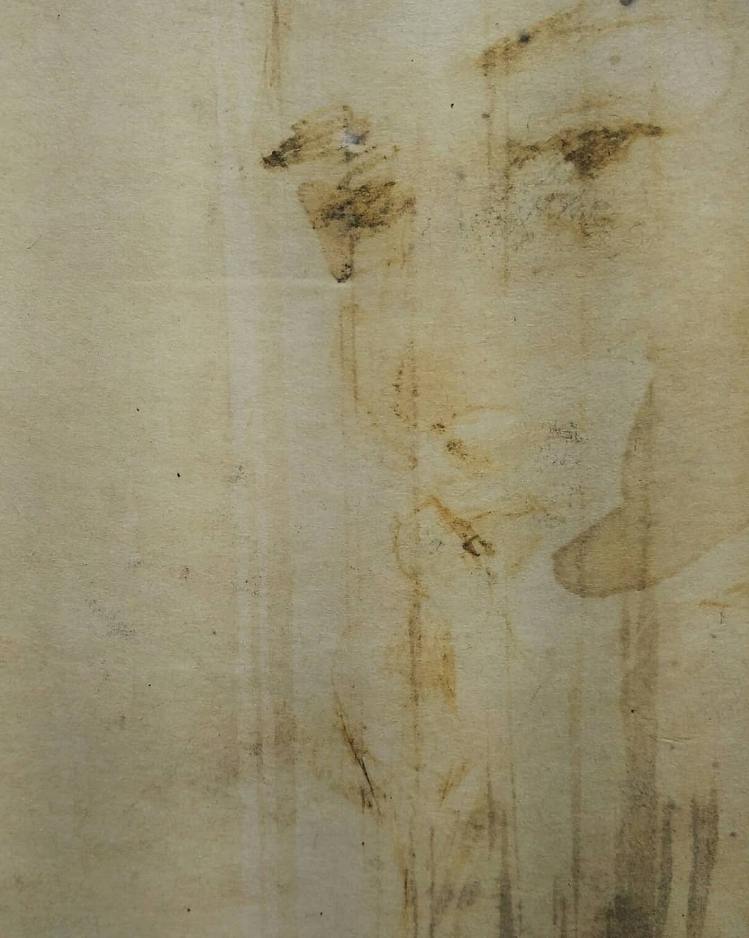 Hamid Halimi, Untitled, 0