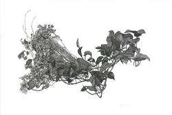 home-scroll-7