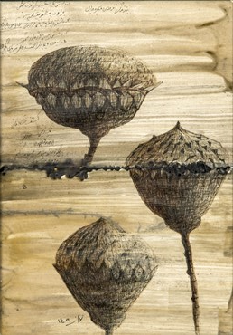 , Shiva Nuran, Untitled, 2024, 76595