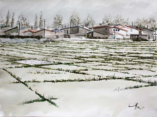 Saeid SaadatNia, Untitled, 0