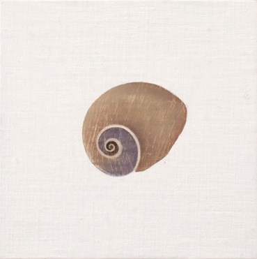 , Maryam Amiryani, Shelter: Whale Eye Polincas Didyma, 2024, 76062