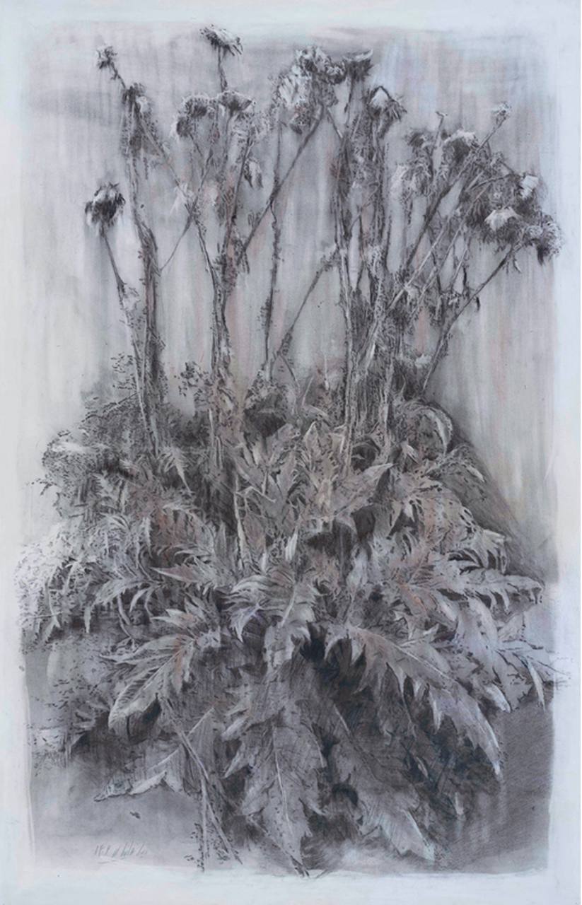 Mina Ghaziani, Untitled, 2024