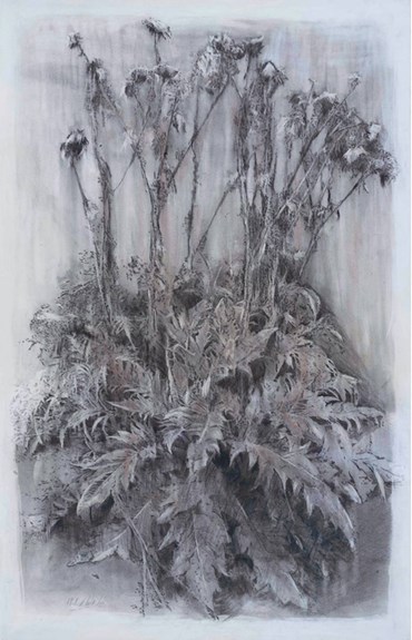 Mina Ghaziani, Untitled, 2024, 0