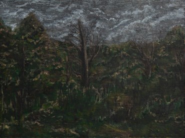 , Shiva Sarlak, Untitled, , 80807