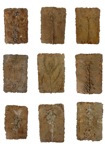 Sculpture, Reyhaneh Afzalian, Untitled, 2024, 73904