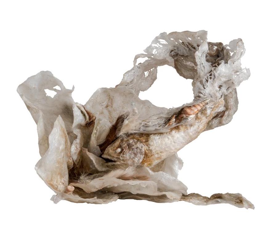 Elham Fallahi, Untitled, 0