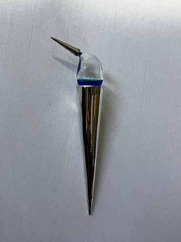 , Shahrzad Aliyari, Botulinum, 2024, 76187